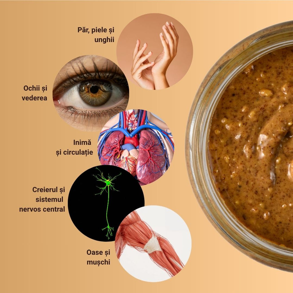 Cremă crocantă de migdale Epic Bites 300g